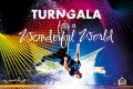 TurnGala Website 2